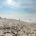 Feriehus Premium Auf Ruegen - Bis 5 Personen - Nur 100m Zum Naturstrand - Mitten Im Wald - Familien Und Hunde Herzlich Willkommen - Schwalbennest *