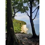 Premium Auf Ruegen - Bis 5 Personen - Nur 100m Zum Naturstrand - Mitten Im Wald - Familien Und Hunde Herzlich Willkommen - Schwalbennest Feriehus Dranske