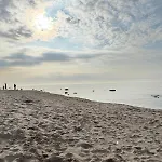 Premium Auf Ruegen - Bis 5 Personen - Nur 100m Zum Naturstrand - Mitten Im Wald - Familien Und Hunde Herzlich Willkommen - Schwalbennest