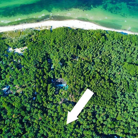 Premium Auf Ruegen - Bis 5 Personen - Nur 100m Zum Naturstrand - Mitten Im Wald - Familien Und Hunde Herzlich Willkommen - Schwalbennest * Dranske