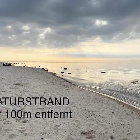 Σπίτι διακοπών Premium Auf Ruegen - Bis 5 Personen - Nur 100m Zum Naturstrand - Mitten Im Wald - Familien Und Hunde Herzlich Willkommen - Schwalbennest Dranske