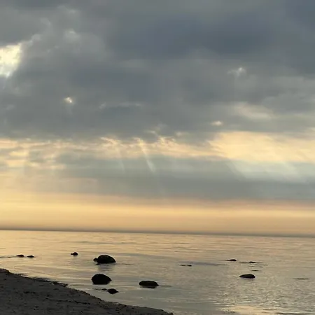 Holiday home Premium Auf Ruegen - Bis 5 Personen - Nur 100m Zum Naturstrand - Mitten Im Wald - Familien Und Hunde Herzlich Willkommen - Schwalbennest *