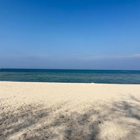 Premium Auf Ruegen - Bis 5 Personen - Nur 100m Zum Naturstrand - Mitten Im Wald - Familien Und Hunde Herzlich Willkommen - Schwalbennest * דראנסקה