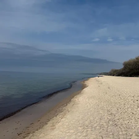 Premium Auf Ruegen - Bis 5 Personen - Nur 100m Zum Naturstrand - Mitten Im Wald - Familien Und Hunde Herzlich Willkommen - Schwalbennest *