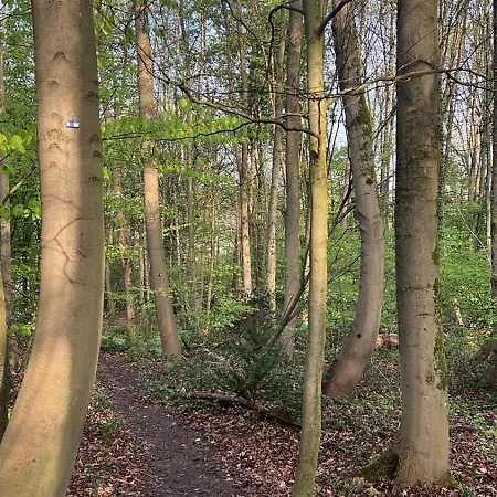 בית נופש Premium Auf Ruegen - Bis 5 Personen - Nur 100m Zum Naturstrand - Mitten Im Wald - Familien Und Hunde Herzlich Willkommen - Schwalbennest דראנסקה
