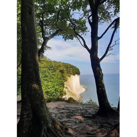 Premium Auf Ruegen - Bis 5 Personen - Nur 100m Zum Naturstrand - Mitten Im Wald - Familien Und Hunde Herzlich Willkommen - Schwalbennest Σπίτι διακοπών Dranske