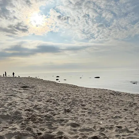 Premium Auf Ruegen - Bis 5 Personen - Nur 100m Zum Naturstrand - Mitten Im Wald - Familien Und Hunde Herzlich Willkommen - Schwalbennest