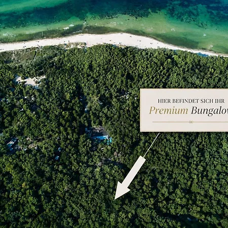 Premium Auf Ruegen - Bis 5 Personen - Nur 100m Zum Naturstrand - Mitten Im Wald - Familien Und Hunde Herzlich Willkommen - Schwalbennest *