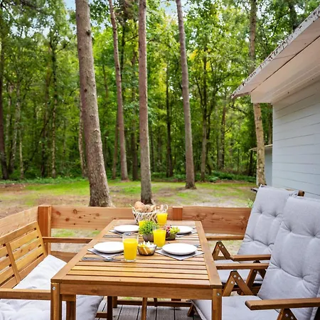 Premium Auf Ruegen - Bis 5 Personen - Nur 100m Zum Naturstrand - Mitten Im Wald - Familien Und Hunde Herzlich Willkommen - Schwalbennest *