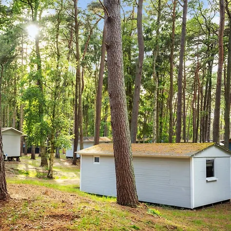Premium Auf Ruegen - Bis 5 Personen - Nur 100m Zum Naturstrand - Mitten Im Wald - Familien Und Hunde Herzlich Willkommen - Schwalbennest Dranske