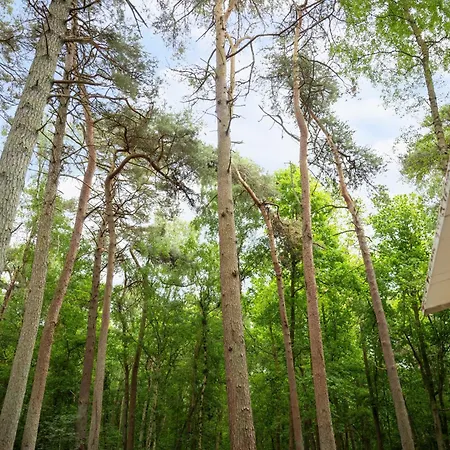 Dom wakacyjny Premium Auf Ruegen - Bis 5 Personen - Nur 100m Zum Naturstrand - Mitten Im Wald - Familien Und Hunde Herzlich Willkommen - Schwalbennest
