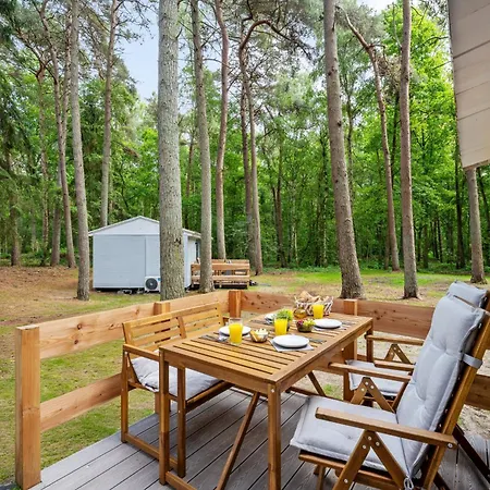 Dom wakacyjny Premium Auf Ruegen - Bis 5 Personen - Nur 100m Zum Naturstrand - Mitten Im Wald - Familien Und Hunde Herzlich Willkommen - Schwalbennest