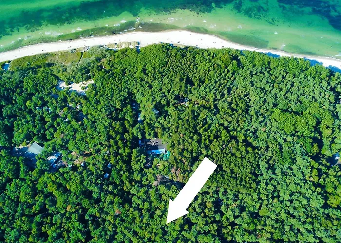 Premium Auf Ruegen - Bis 5 Personen - Nur 100m Zum Naturstrand - Mitten Im Wald - Familien Und Hunde Herzlich Willkommen - Schwalbennest * Dranske