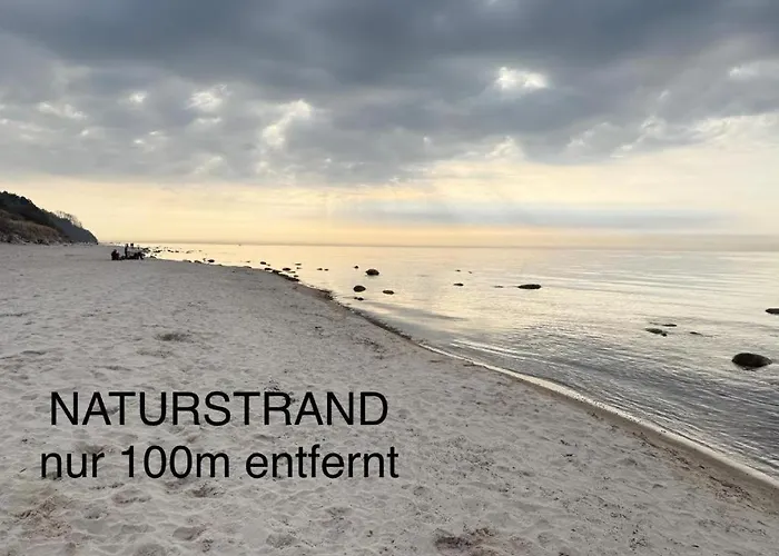 Holiday home Premium Auf Ruegen - Bis 5 Personen - Nur 100m Zum Naturstrand - Mitten Im Wald - Familien Und Hunde Herzlich Willkommen - Schwalbennest Dranske