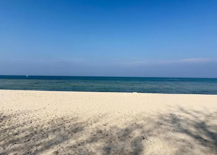 Premium Auf Ruegen - Bis 5 Personen - Nur 100m Zum Naturstrand - Mitten Im Wald - Familien Und Hunde Herzlich Willkommen - Schwalbennest * Dranske