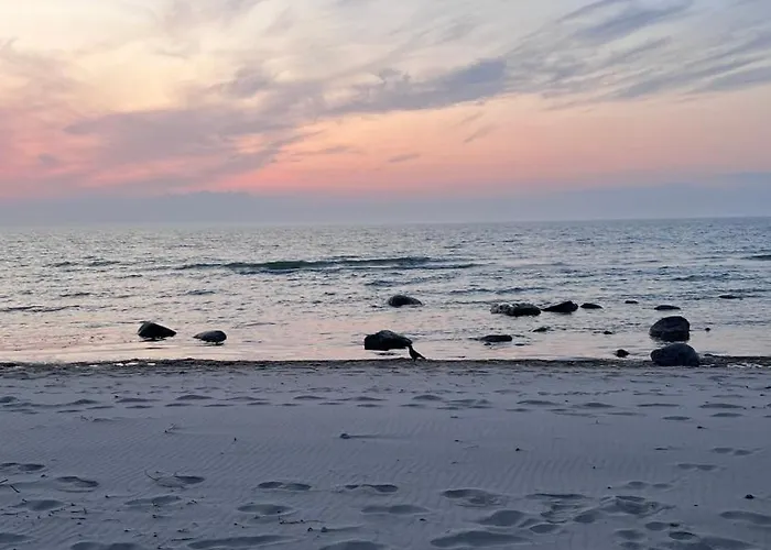 Holiday home Premium Auf Ruegen - Bis 5 Personen - Nur 100m Zum Naturstrand - Mitten Im Wald - Familien Und Hunde Herzlich Willkommen - Schwalbennest Dranske