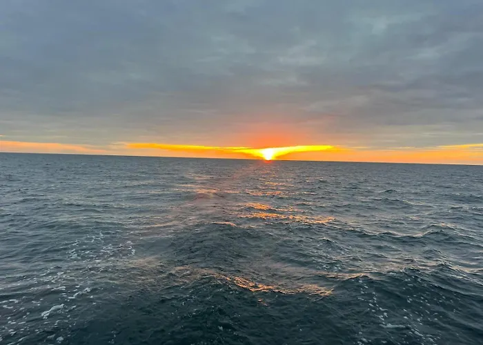 Premium Auf Ruegen - Bis 5 Personen - Nur 100m Zum Naturstrand - Mitten Im Wald - Familien Und Hunde Herzlich Willkommen - Schwalbennest Holiday home