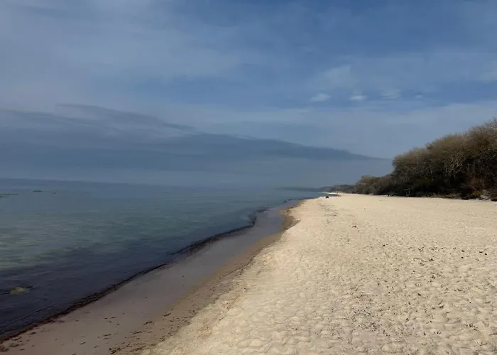 Premium Auf Ruegen - Bis 5 Personen - Nur 100m Zum Naturstrand - Mitten Im Wald - Familien Und Hunde Herzlich Willkommen - Schwalbennest *