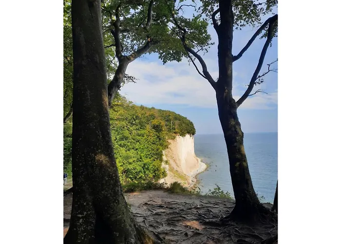 Premium Auf Ruegen - Bis 5 Personen - Nur 100m Zum Naturstrand - Mitten Im Wald - Familien Und Hunde Herzlich Willkommen - Schwalbennest Holiday home Dranske