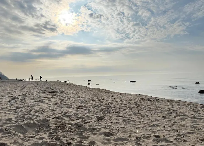 Premium Auf Ruegen - Bis 5 Personen - Nur 100m Zum Naturstrand - Mitten Im Wald - Familien Und Hunde Herzlich Willkommen - Schwalbennest